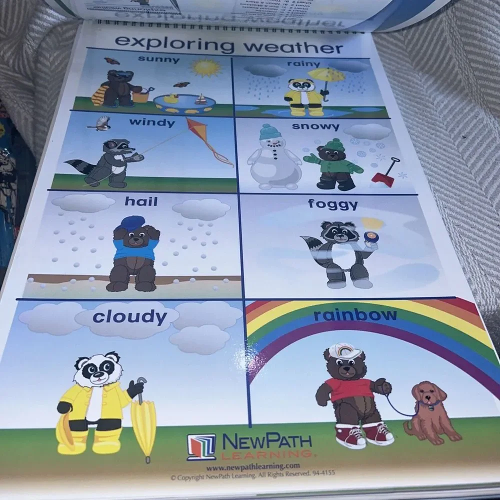 New Path Weather &‎ Sky Early Childhood Science Flip Charts